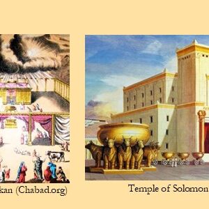 Building Mishkan vs Temple: Willing Heart vs Corvee Labor Feb 28 2021